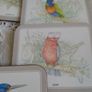 Jason Sydney Scenes Coasters Image 3