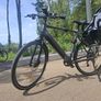 Electric bike elops XL Image 3