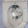 Toilet Seat Image 3
