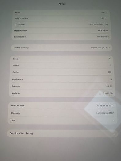 13-Inch IPad Pro M5 2025 256gb