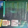 Anatomy & physiology Image 4