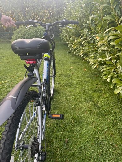 Mens Raleigh Mountain Bike