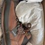 Brand new Firetrap Mens boots Image 2