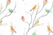Self Adhesive Wallpaper: Birds Floral Wallpaper Peel and Stick Wallpaper Removable PVC Vinyl Film Wallpaper Stick on Wallpaper for Bedroom Kitchen MULTIPLE SIZES AVAILABLE (FREE POSTAGE)