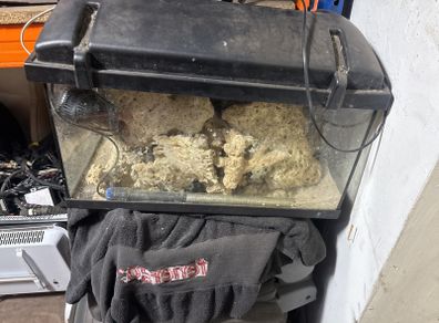 fish tank