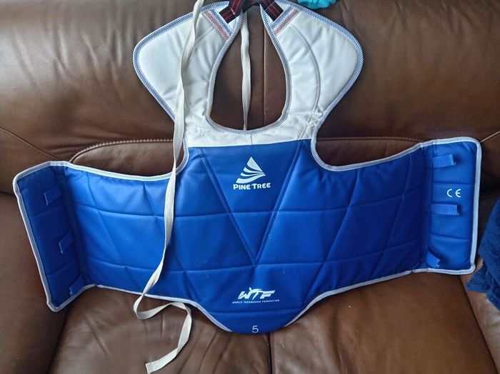 taekwondo