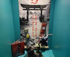 assassin's creed shadows collectors edition