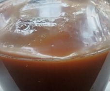 Kombucha scoby with starter tea