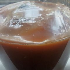 Kombucha scoby with starter tea