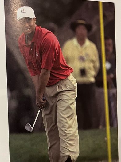 The Ryder Cup (The Times)
