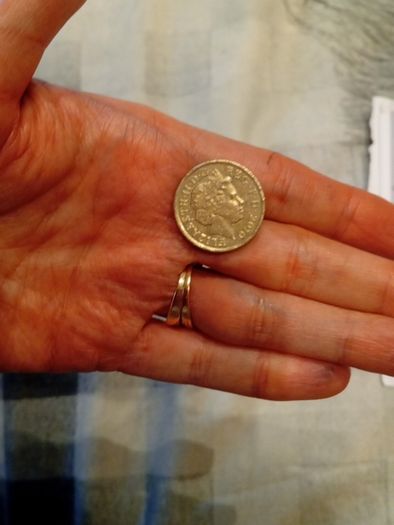 London Arms  one pound coin 2010
