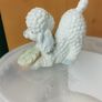Poodle Image 2