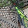 Mtb Image 2