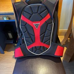 Dainese backpack