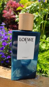 Loewe 7 Cobalt