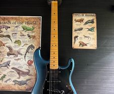 fender pro ii Strat