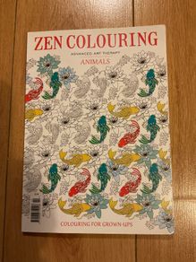Zen colouring book for adults Brand New