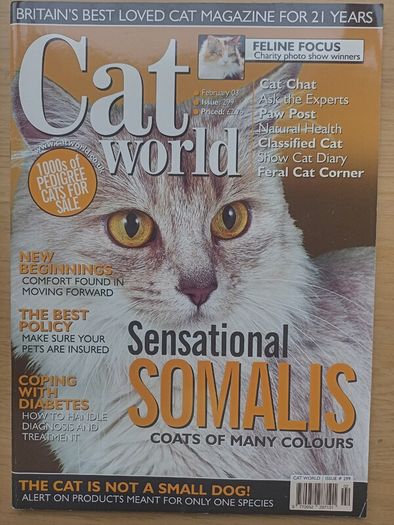 Cat World