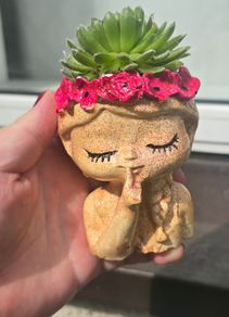 small idoor plant
