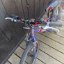 Wiggins bike Image 2