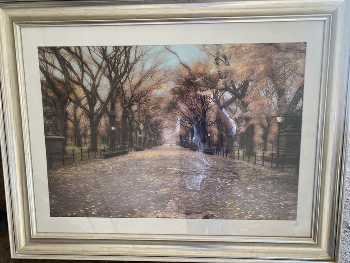 large picture with silver frame