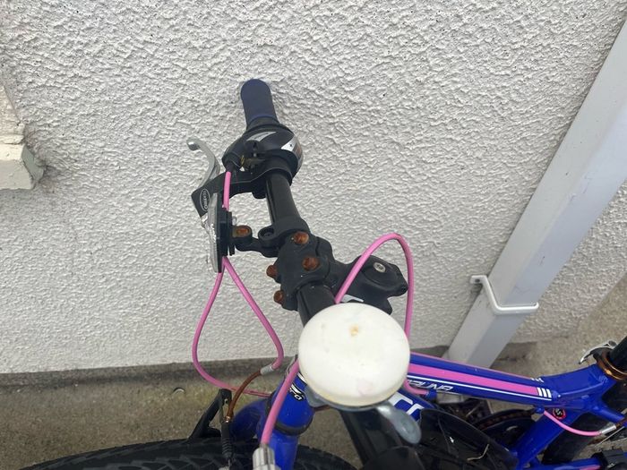 Girls Carrera bike
