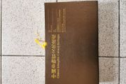 Chinese 4 CD