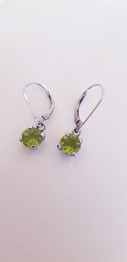 Earrings - Gold/Silver Plated