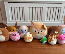 Squishmallow bundle