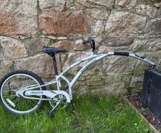 Trail-A-Bike kids bike
