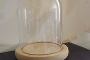 Glass display dome with wooden base.