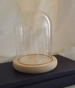 Glass display dome with wooden base.