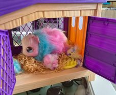 Little Live Pets Mama Guinea Pig