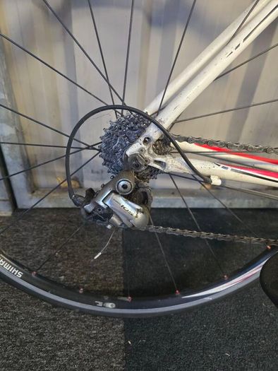 Merida Road Race 904