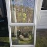 door Image 7