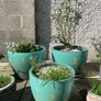 Large/Medium Glazed Earthenware Egg Flower Pot- 2 available Image 2