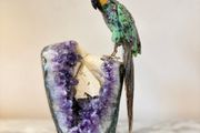 Premium Ruby in Zoisite Gemstone Parrot Carving on Unique Amethyst Crystal Geode