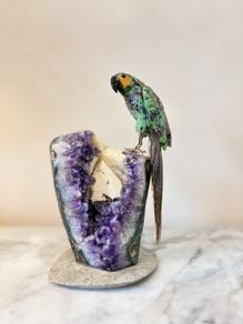 Premium Ruby in Zoisite Gemstone Parrot Carving on Unique Amethyst Crystal Geode