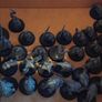 Warhammer Image 3