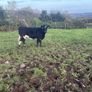 Organic Wealings Image 8