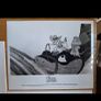 Walt Disneys The Rescuers Down Under  Press Kit Image 7