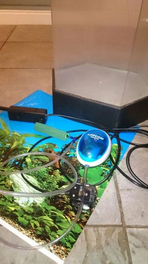 Aquarium Fish tank small with equipment included