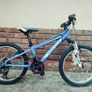 Procycle Maverick 20" Kids Bike  Project, For Parts Image 2