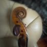 Violin Image 4