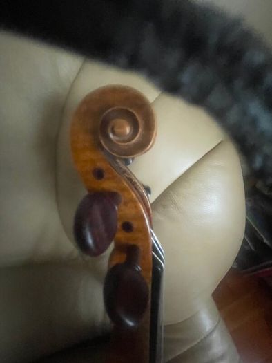 Violin