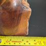 African Burl Wood Head Hand Carved Woman Bust Zambia Style 28cm Image 5