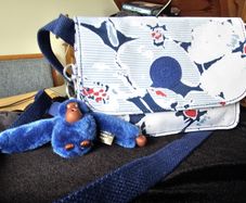 Kipling bag light