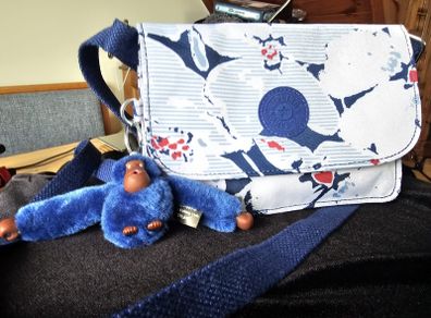 Kipling bag light