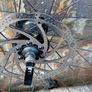 Front Disc Racer Wheel Image 3