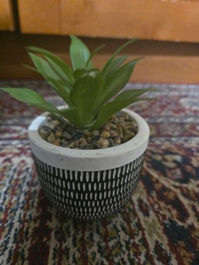 Plant decor